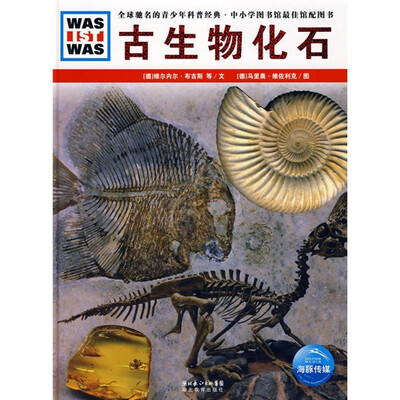 

古生物化石