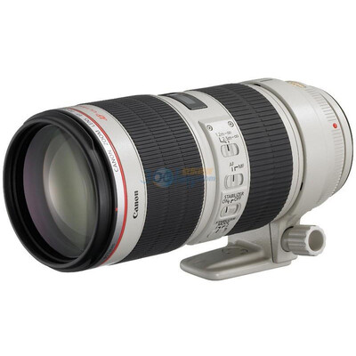 

Canon (Canon) EF 70-200mm F / 2.8L IS II USM объектив