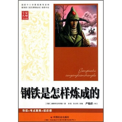 

钢铁是怎样炼成的（专家名师导读版）