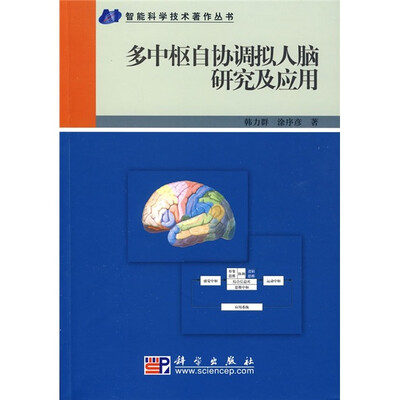 

多中枢自协调拟人脑研究及应用