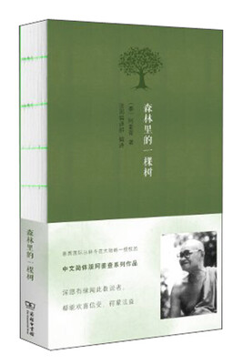 

森林里的一棵树