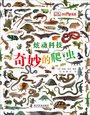 

炫动科技：奇妙的爬虫