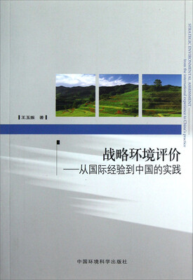 

战略环境评价：从国际经验到中国的实践