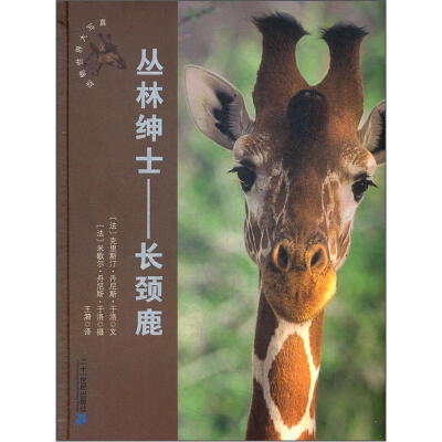 

动物世界大写真·丛林绅士：长颈鹿