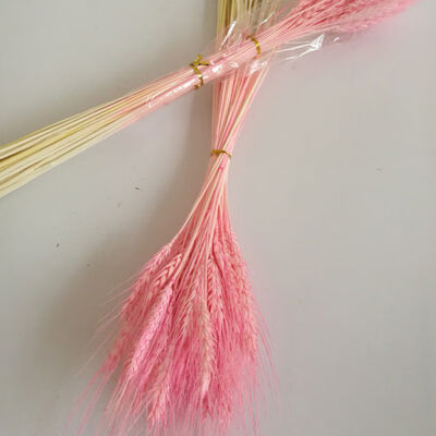 

50 PCS Wheat Ears Artificial Plants For Home Decorations Festive Supplies For Milk Tea Shop
