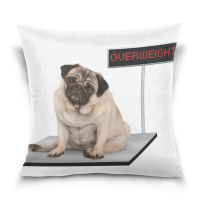 

ALAZA Throw Pillow Case Decorative Pillow Covers 16 X 16 inch Heavy Fat Pug Pattern Pillowcase
