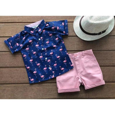 

Kids Baby Boy Formal Suit Flamingos ShirtShorts Pants Summer Outfits Clothes