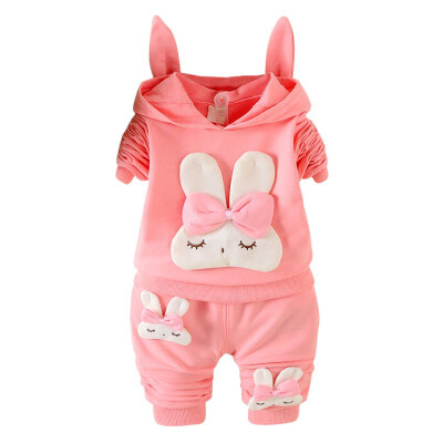 

Autumn Baby Long Sleeve Clothes Set Baby Girl Cute Rabbit Pattern Long Sleeve Suit Children Casual Clothing