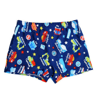 

Little Boys Quick Dry Beach Board Shorts Kids Swim Trunk Swimsuit Beach Shorts Cartoon Printed Surfing Beach Pants New