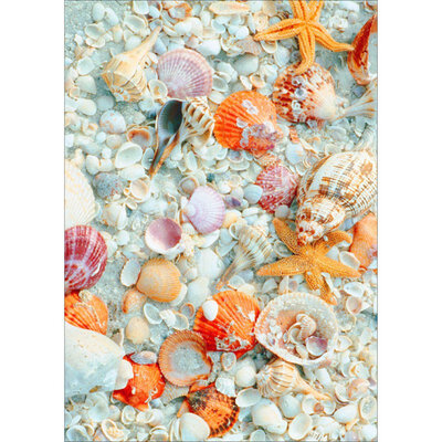 

DIY Semi-finished Diamond Painting 5D Still Life Theme Starfish Hippocampus Conch Home Living Room Bedroom Office Decoration