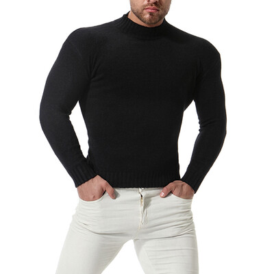 

Mens Autumn Solid Color Slim Fit Sweater Tops High Collar Long Sleeve Knitted