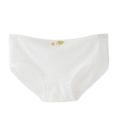 

Summer Women New Fashion Design Cotton Breathable Stretchy Seamless Solid Underwear Panties Briefs Knickers Underpants