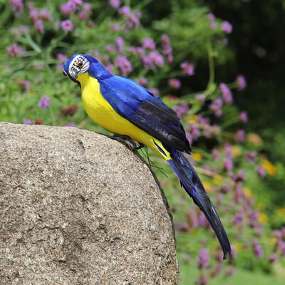 

Gobestart Colorful Fake Parrots Artificial Birds Model Outdoor Home Garden Lawn Tree Decor