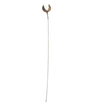 

Preserved White Gossypium Handmade Natural 5 Petals Dried Flowers Decorative Cotton Artificial Flower Iron Stem