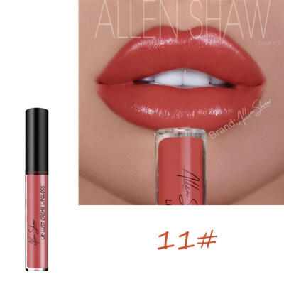 

12 Colors Makeup Long Lasting Lipstick Deep Moisturizing Cream Texture Lip Gloss Soft Matte Lip Cream