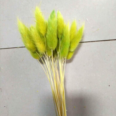 

30pcslot Real Touch Artificial Flowers Wedding Decorative Flowers Natural Rabbit Tail Fake Flowers Wedding Party Decoration