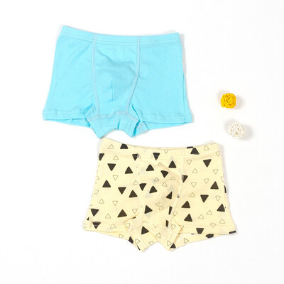 

2pcslot Baby Panties Childrens Cotton Printed Boxer Briefs 2018 New Fashion Brand High Quality Boys Underwear 2-7t