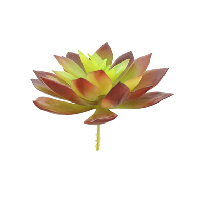 

Simulations Mini Succulents Fake Plastic Artificial Plants Home Garden Living Room Decorations