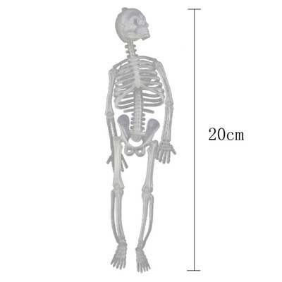 

Halloween Horror Luminous Skull Plastic Skeleton Glow In The Dark For Ghost House Decoration Scene Layout Props Random Color