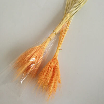 

50 PCS Wheat Ears Artificial Plants For Home Decorations Festive Supplies For Milk Tea Shop