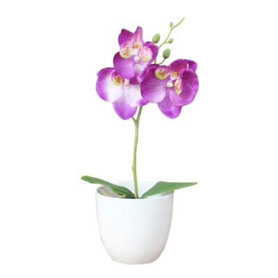 

1PCS Mini Phalaenopsis Potted Artificial Flower For Home Decoration Party Supplies