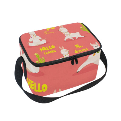 

ALAZA Lunch Box Llama And Cactus Insulated Lunch Bag Large Cooler Tote Bagfor Men Women