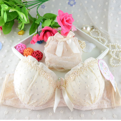

Sexy Lingerie Elegant 34 Cup Bra Panty Dot Lace Women Underwear Set Push Up Bra Set