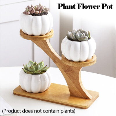 

Fashion Home Garden Mini Cactus Pot Indoor Decoration Pumpkin Succulent Pots