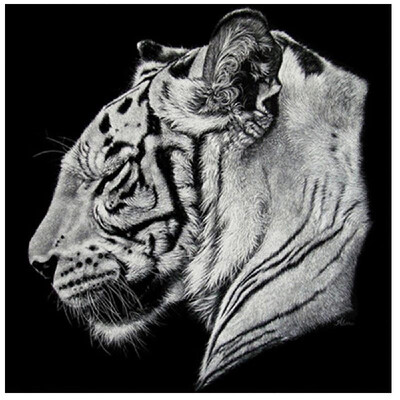 

DIY Diamond Painting cross stitch Tiger Animal embroidery home decor Rhinestone mosaic needlework Canvas size 3030 round diamon