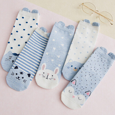 

Ladies cartoon socks cotton Japanese cute animal pattern in stockings 5 pairs