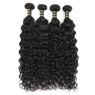 

Amazing Star Brazilian Hair Curly Hair 4 Bundles Virgin Human Hair Extensions Wet&Wavy