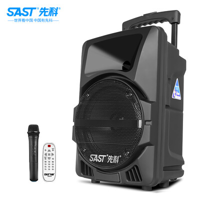 

SAST A68 8 inch portable mobile lever outdoor audio square dance speaker Bluetooth audio high power home outdoor live K song double microphone version