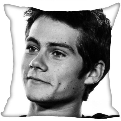 

Dylan Pillow Cover Bedroom Home Office Decorative Pillowcase Square Zipper Pillow Cases Satin Fabric No Fade