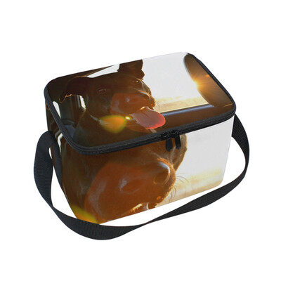

ALAZA Lunch Box Insulated Lunch Bag Large Cooler Light Sunshine Car Driving Dog Animal Tote Bag
