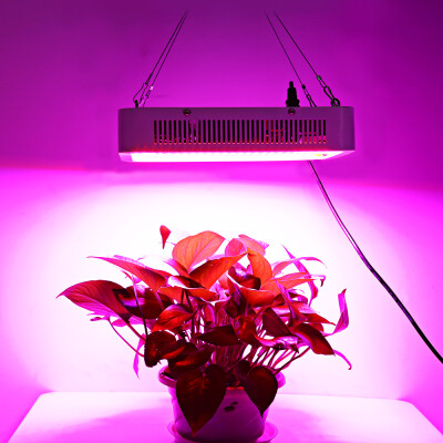 

400W True 140W LED Plant Grow Light Panel Full Spectrum Lamp Square Shape for Hydroponics Indoor Seedling