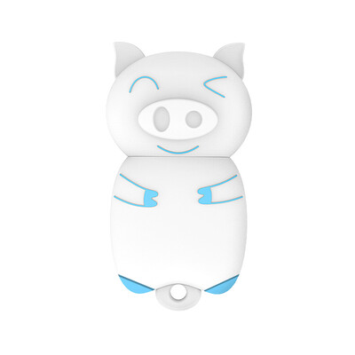 

Damai DM 32GB USB20 U disk Xiluo PD099 series blue creative cute girl couple cartoon student mini USB flash drive