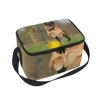 

ALAZA Lunch Box Insulated Lunch Bag Large Cooler Dog Mammal Toys Tote Bag