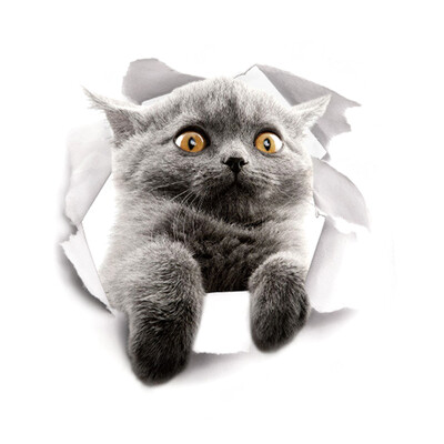 

Super Cute Vivid 3D Cat Wall Sticker Toilet Closet Waterproof Removable Kid Room Decoration