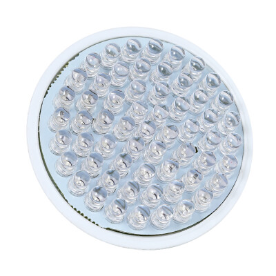 

E27 220V LED Bulb Grow Light for Hydroponics Vegetables&Flowering Plants