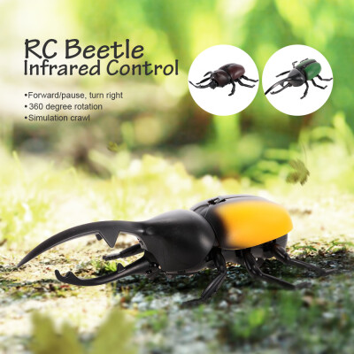 

Infrared Remote Control Simulation Beetle Mini RC Animal Kids Toy Boy Gift