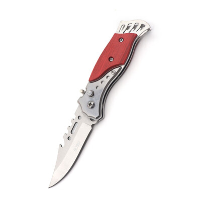 

SLYDLL Mini Stainless Steel Folding Knife