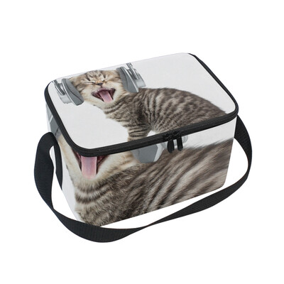 

Lunch Box Insulated Lunch Bag Large Cooler Music Cat Tote Bagfor Kids Men Women