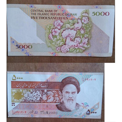 

Peace Dove Iran 5000 Rials Banknote
