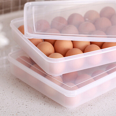 

40000 km egg box refrigerator storage box frozen dumplings chaotic box plastic sealed food storage box 24 grid SWJ2504