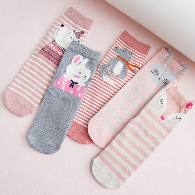 

Ladies cartoon socks cotton Japanese cute animal pattern in stockings 5 pairs