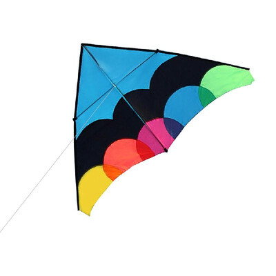 

Colorful Huge Delta Kite Outdoor Sport Single Line Flying Kite with 30m Flying Line for Kids Adults
