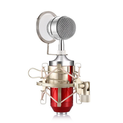 

LEIHAO BM - 8000 Professional Sound Studio Recording Condenser Microphone with 35mm Plug Stand Holder