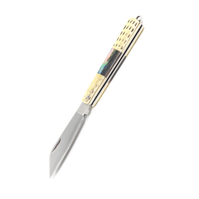 

Miniature Stainless Steel Folding Knife with Beautiful Handle