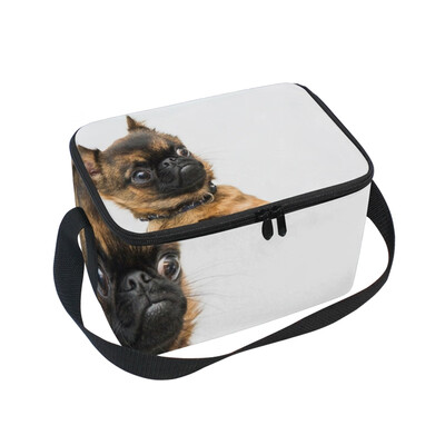 

ALAZA Lunch Box Insulated Lunch Bag Large Cooler Surprised Brussels Griffin Tote Bag