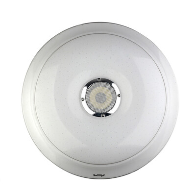 

Youoklight 1PCS 36W 110-220V Led Ceiling Lamp Multicolor Bluetooth Music App Control